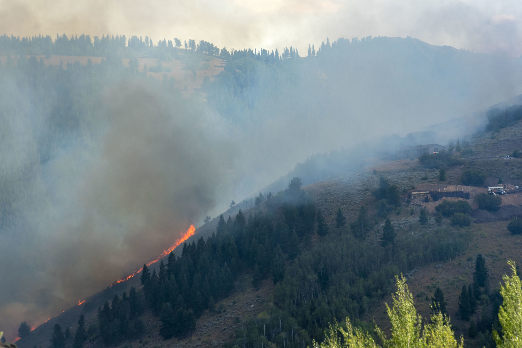 Virginian fire